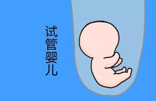 张明华 院长